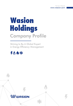 Wasion Holdings Company Profile